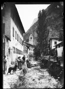 cane (Positivo) di Fotostudio Waldmüller