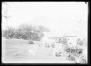 maso (Positivo) di Fotostudio Waldmüller (1900/01/01 - 1910/12/31)