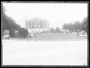 albero (Positivo) di Fotostudio Waldmüller