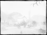 Ripresa in esterno. Un campo e alberi. Sullo sfondo diversi edifici