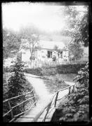 albero (Positivo) di Fotostudio Waldmüller