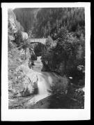 bosco (Positivo) di Fotostudio Waldmüller