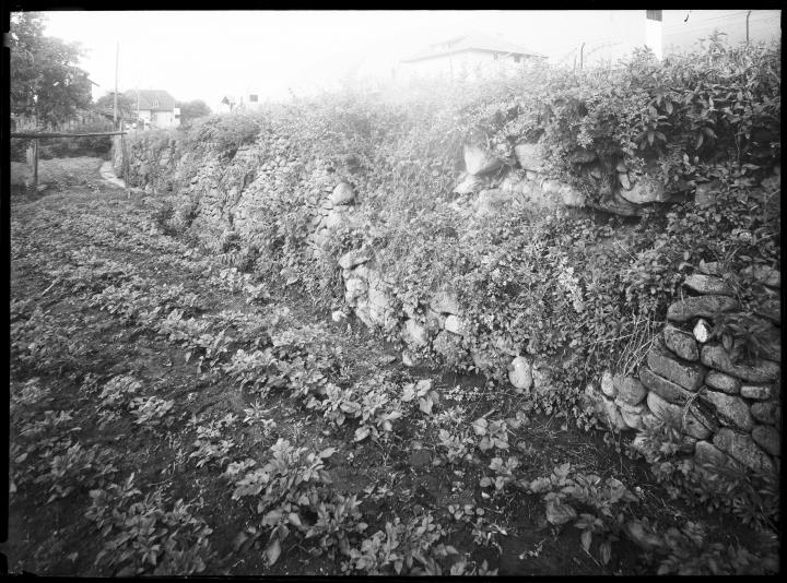 Riprese in esterno: prato e un muro. Sullo sfondo ci sono delle case