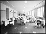 fiore (Positivo) di Fotostudio Waldmüller (1921/01/01 - 1945/12/31)