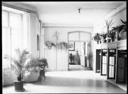 Ripresa interno. Una sala con una porta aperta. Nella sala ci sono molte piante, soprattutto palme, alcuni mobili e una finestra aperta