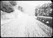 Ripresa in esterno. Strada