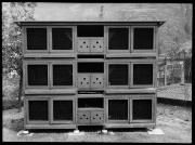 Ripresa in esterno. Conigliera