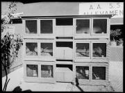 Ripresa in esterno. Conigliera. Otto conigli in gabbie. Sullo sfondo la scritte 