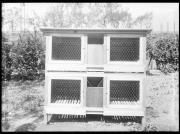 Außenaufnahme. Hasenstall