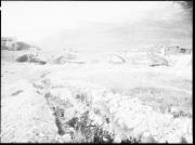 Ripresa in esterno. Costruzione di un ponte