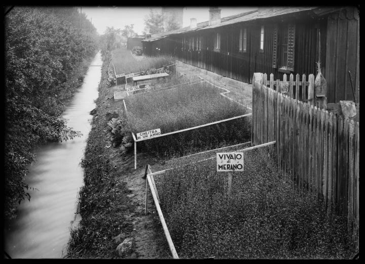 Außenaufnahme. Garten mit Ginster, Kanal und Holzhaus. Schilder mit den Aufschriften 