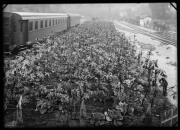 binario (Positivo) di Fotostudio Waldmüller (1940/10/01 - 1940/10/31)