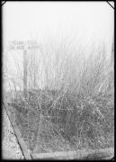 pianta (Positivo) di Fotostudio Waldmüller (1940/10/01 - 1940/10/31)