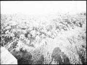 campo (Positivo) di Fotostudio Waldmüller (1940/10/01 - 1940/10/31)