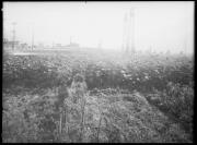 campo (Positivo) di Fotostudio Waldmüller (1940/10/01 - 1940/10/31)