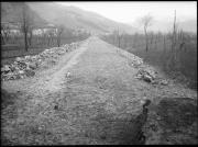 Ripresa in esterno. Cantiere in frutteto, sullo sfondo case