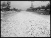 strada (Positivo) di Fotostudio Waldmüller (1941/04/01 - 1941/04/43)