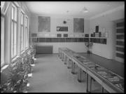 iscrizione (Positivo) di Fotostudio Waldmüller (1922/01/01 - 1943/12/31)