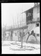 Ripresa in esterno. Albero da frutta, salice e casa con neve