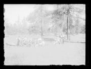 Ripresa in esterno. Ritratto di gruppo di giovani nel bosco