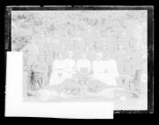 cane (Positivo) di Fotostudio Waldmüller