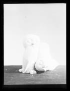 Ripresa di un oggetto (Positivo) di Fotostudio Waldmüller
