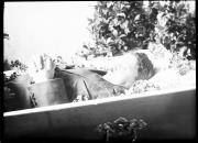 fiore (Positivo) di Fotostudio Waldmüller