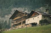 legno (Positivo) di Mayr, Franz (1969/01/01 - 1969/12/31)