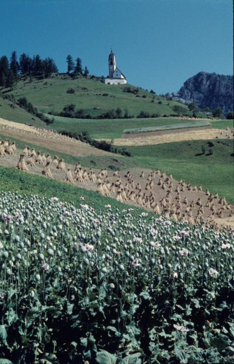 St. Barbara Kirche in Wengen