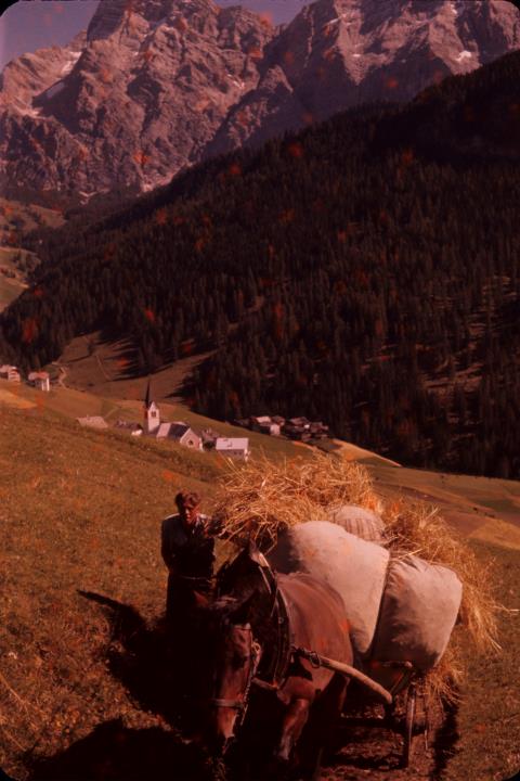 Contadino dedito alla raccolta del fieno a La Valle