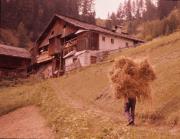 Contadino dedito alla raccolta del fieno a La Valle
