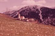 montagna (Positivo) di Mayr, Franz (1960/01/01 - 1960/12/31)