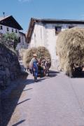 Trasporto del fieno a Burgusio