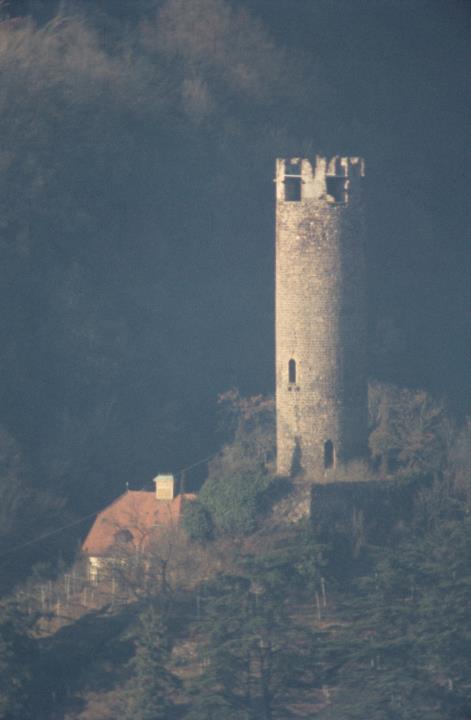 Burgruine Treuenstein