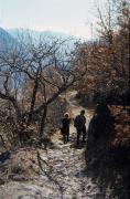 paesaggio (Positivo) di Mayr, Franz (1972/01/01 - 1972/12/31)