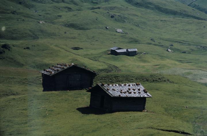 Fienili sull'Alpe di Siusi