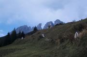 Ripresa del paesaggio in Val di Fassa