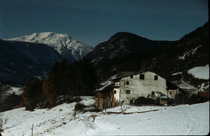 fattoria (Positivo) di Mayr, Franz (1982/01/01 - 1982/12/31)
