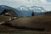 paesaggio (Positivo) di Mayr, Franz (1982/01/01 - 1982/12/31)
