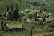 paesaggio (Positivo) di Mayr, Franz (1982/01/01 - 1982/12/31)