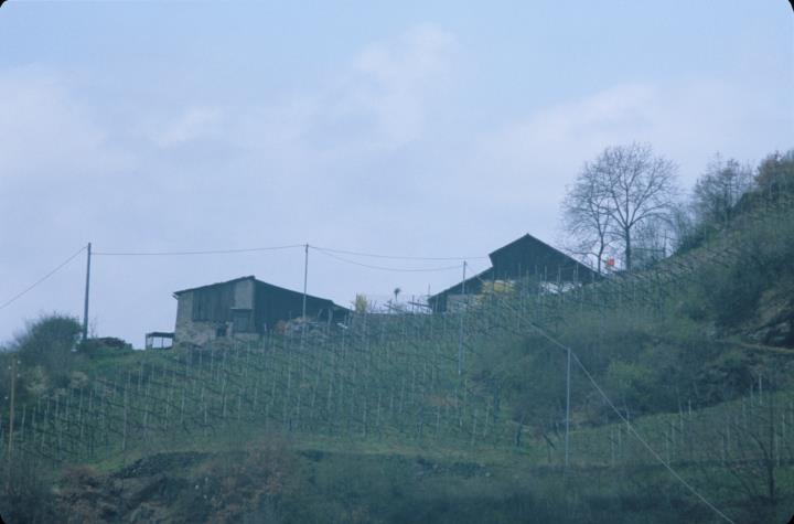 Huhn Hof in Leitach