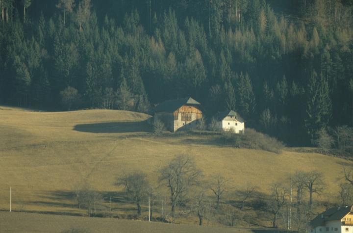 agricoltura (Positivo) di Mayr, Franz (1989/01/01 - 1989/12/31)