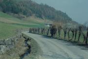 paesaggio (Positivo) di Mayr, Franz (1991/01/01 - 1991/12/31)