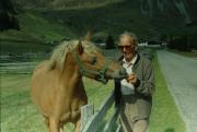 cavallo (Positivo) di Mayr, Franz (1992/01/01 - 1992/12/31)