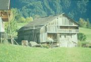 edificio (Positivo) di Mayr, Franz (1993/01/01 - 1993/12/31)