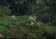 stalla (Positivo) di Mayr, Franz (1995/01/01 - 1995/12/31)