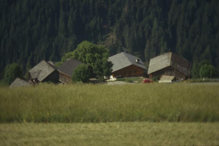 Gruppo di masi