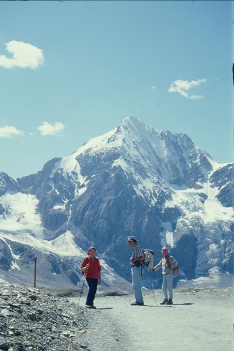 Aufnahme der Königsspitze von der Madritschhütte aus
