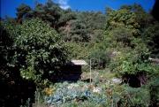 giardino (Positivo) di Furggler, Richard (2000/09/22 - 2000/09/22)