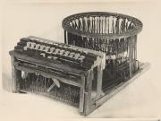 Mitterhofer Peter (Positivo)